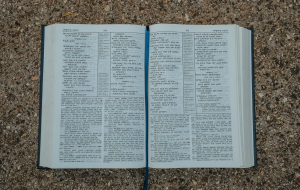 Read more about the article መጽሐፍ ቅዱስ እውነተኛና የሚታመን ነውን?