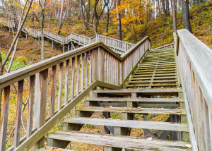 Read more about the article በክርስቶስ ማደግ